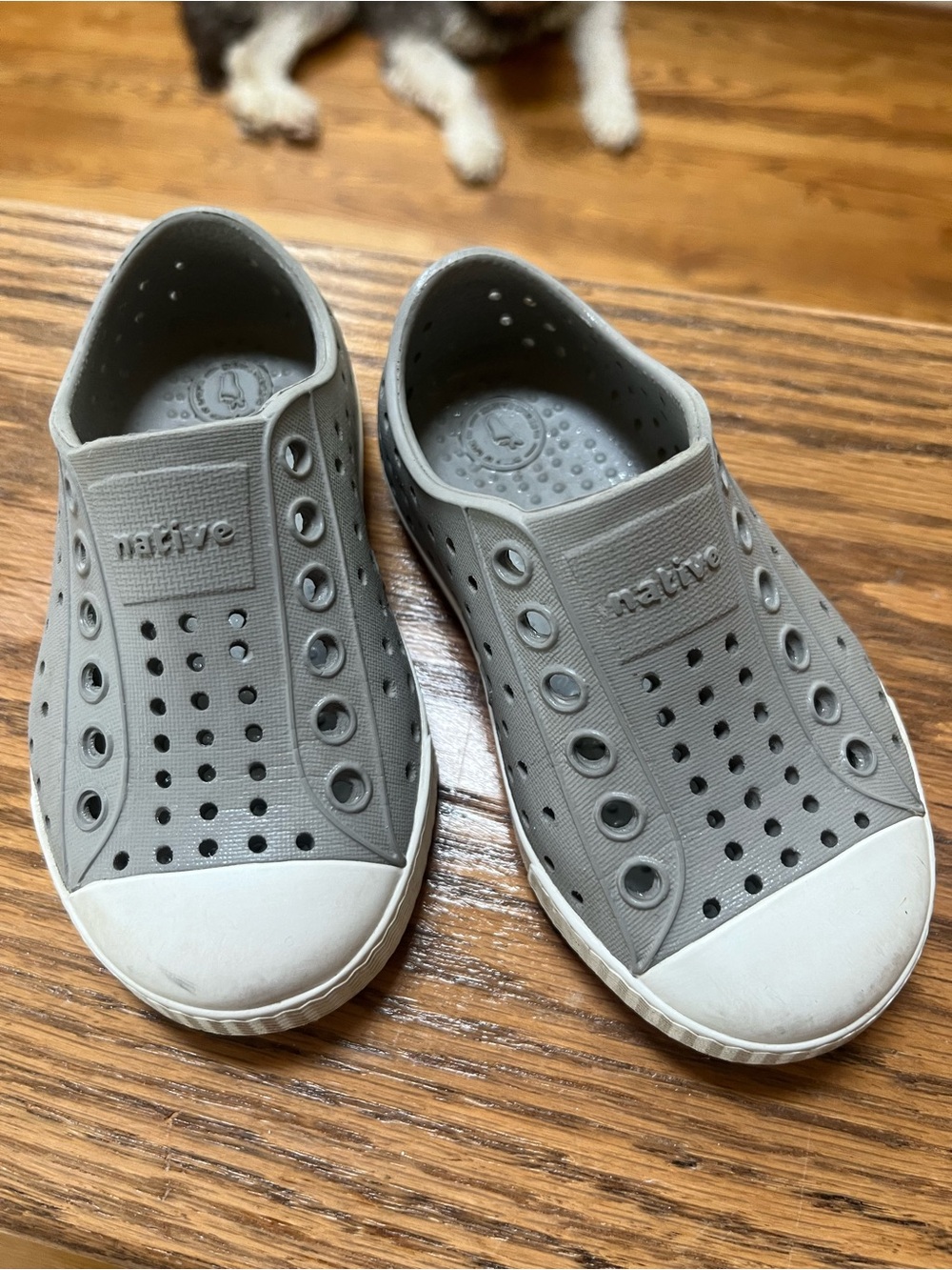 Native Kids Water Shoe Slip-On in Light Gray and White